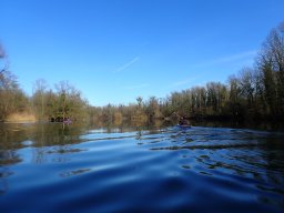 Groschenwasser, Februar 2026